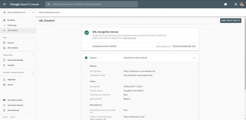 Search Console - URL Denetimi