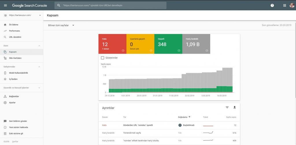 Search Console - Kapsam